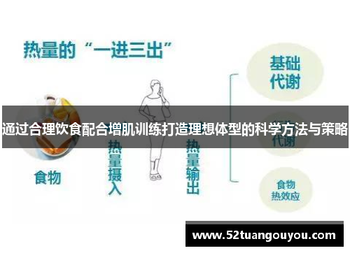 通过合理饮食配合增肌训练打造理想体型的科学方法与策略